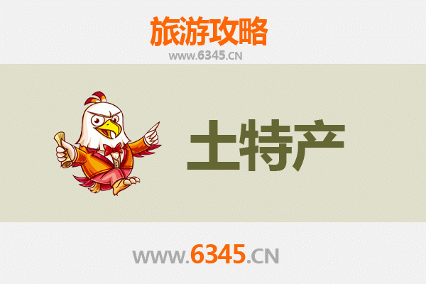 儋州大成镇旅游必带土特产全攻略